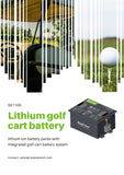 S51105 RoyPow LiFePO4 Lithium Golf Cart Battery Canada Pack